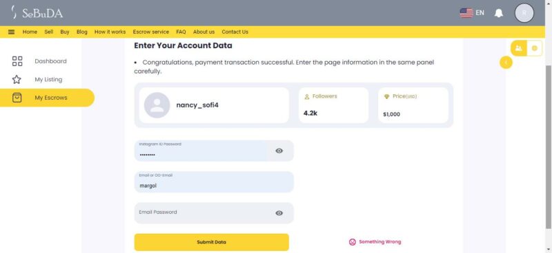 Seller enters the account data