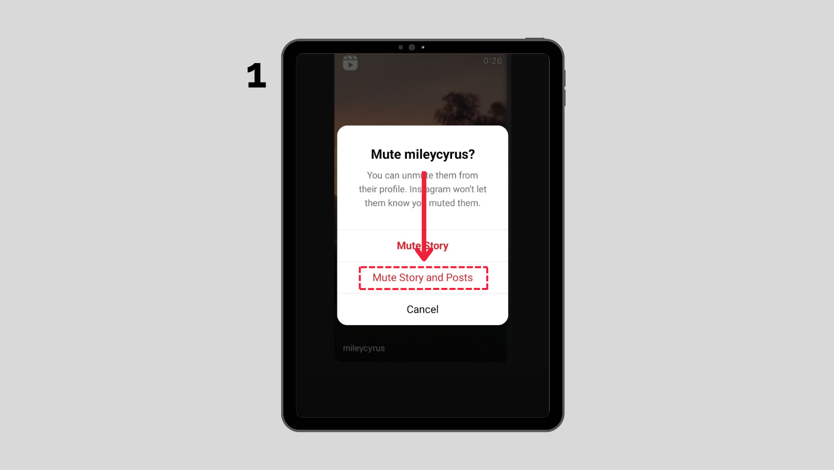 
Mute Instagram Post & Story