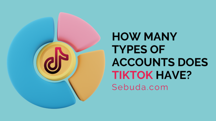 How many types of accounts TikTok have?